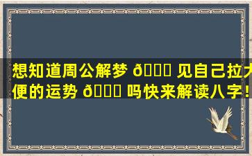 想知道周公解梦 🐘 见自己拉大便的运势 🍀 吗快来解读八字！